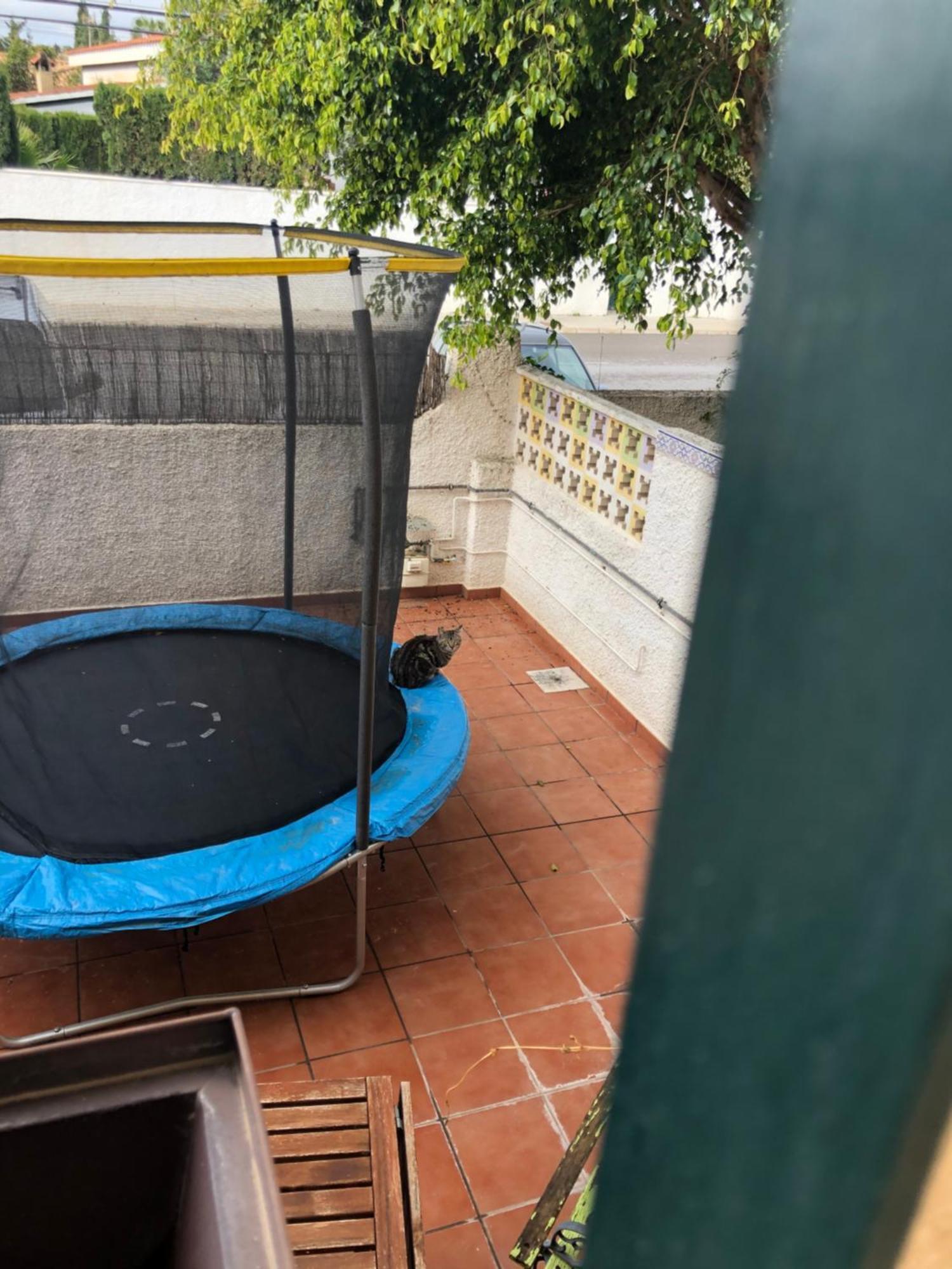 Casa En La Huerta De Mutxamelヴィラ エクステリア 写真